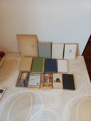 Lotto 13 libri antichi anni 40/50/60.