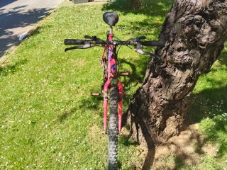 Bicicleta