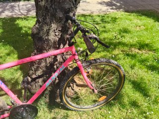Bicicleta