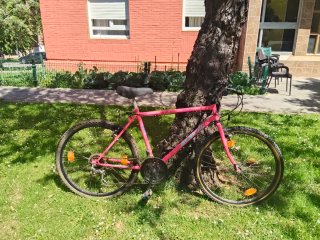 Bicicleta