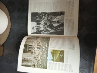 Libro 1980 vela de armas (envíos)