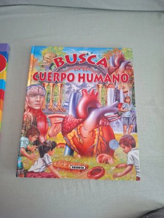 Lote de libros de aprendizaje para niños