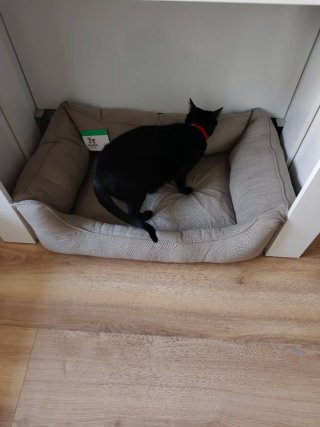 Cama para mascotas beige/gris gato perro