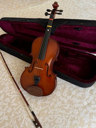 Viola Alfred Stingl