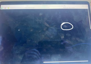 Apple MacBook Air M4 13 pulgadas 256GB