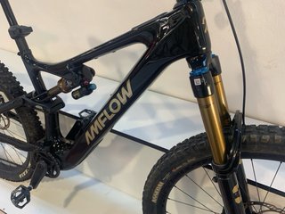 Bicicleta Amflow PL Carbon Pro M