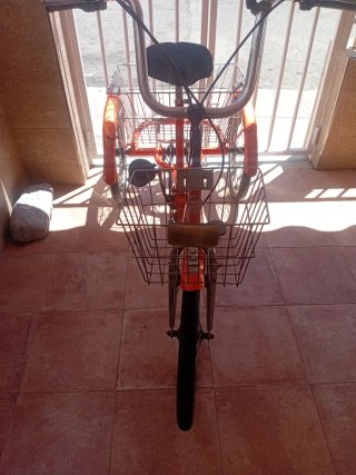 Triciclo Monty Naranja