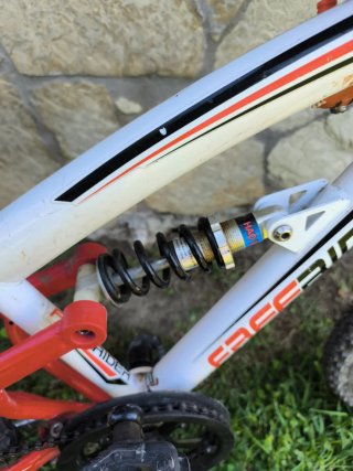 Bicicleta infantil 20