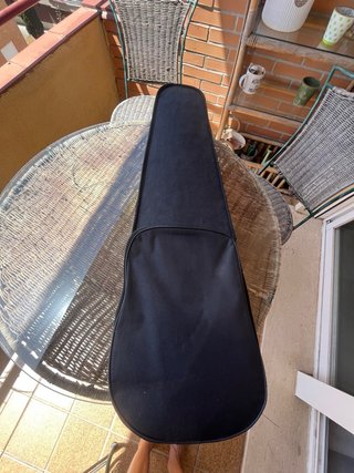 Violín 3/4 para principiantes