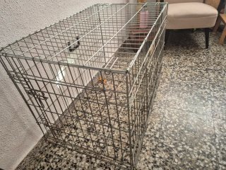 Jaula grande para perro