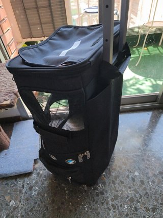 Transportín Mochila para Gatos con Ruedas