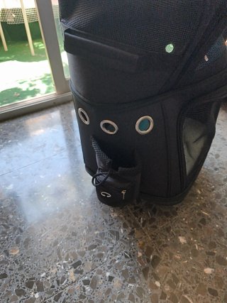 Transportín Mochila para Gatos con Ruedas
