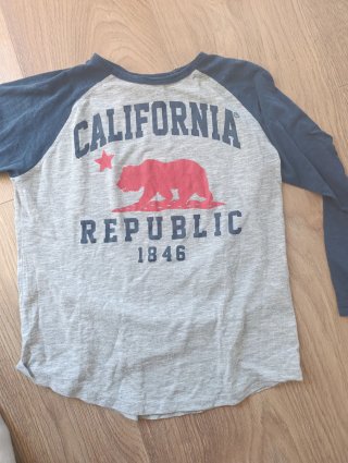 Camiseta manga larga California