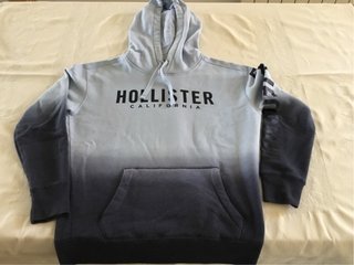Sudadera Hollister con capucha degradada