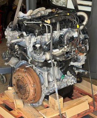 Despiece Motor 1.6HDi (9HW) Citroen Berlingo