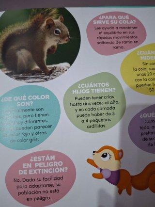 Colección audiocuentos Salvat