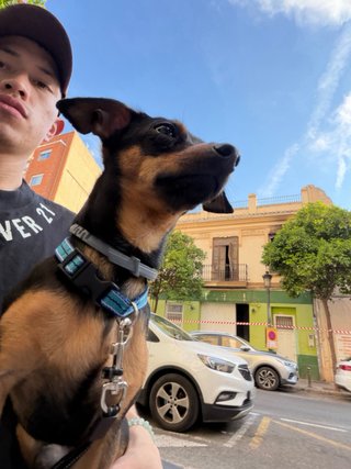 Paseo para tu perro