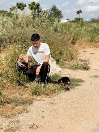Paseo para tu perro