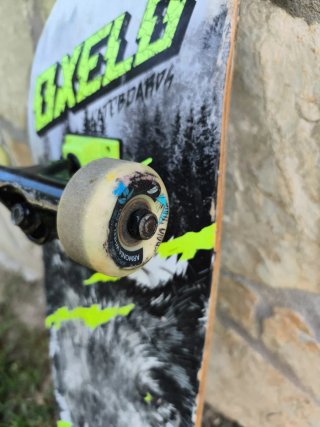 Skate Oxelo Lobo