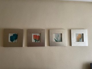 Cuadros de tulipanes decorativos