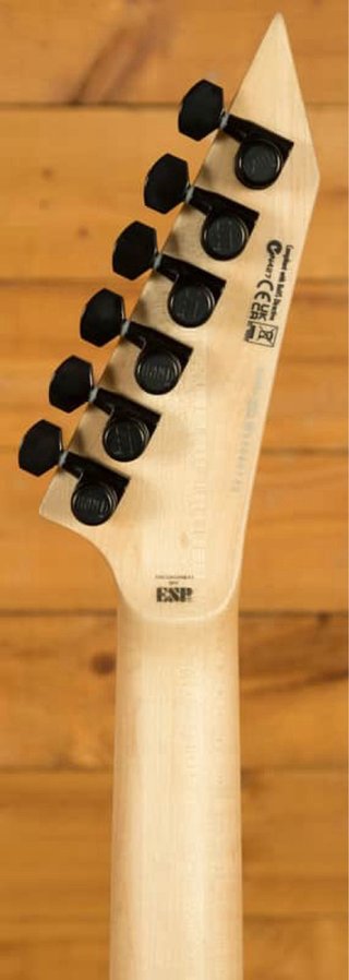 Guitarra ESP LTD M1000HT