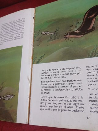 Zaro y la nutria Coleccionismo años 80 Descataloga
