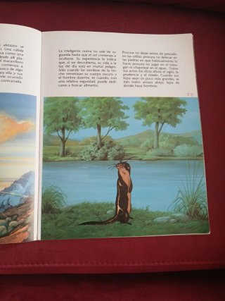 Zaro y la nutria Coleccionismo años 80 Descataloga