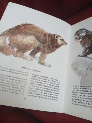 Zaro y la nutria Coleccionismo años 80 Descataloga