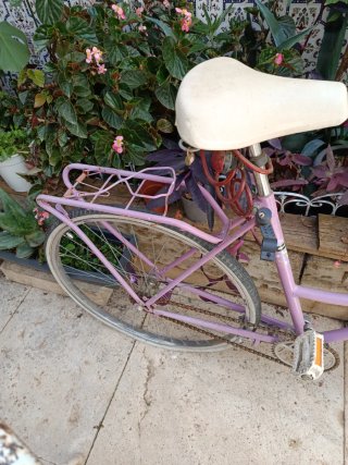 Bicicleta Bolero Morada