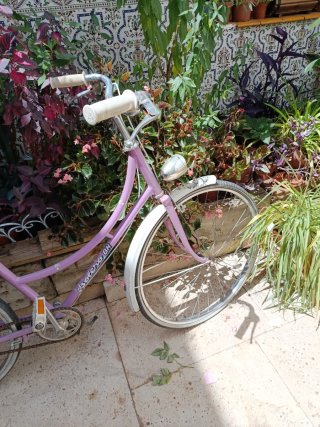 Bicicleta Bolero Morada