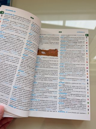 Diccionario Básico Primaria. Lengua española
