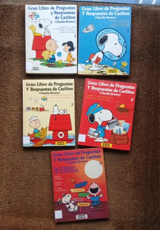 Gran Libro De Preguntas y Respuestas De Carlistos