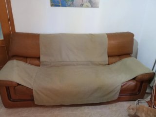 Sofá y sillón de piel marrón Mesita baja centro