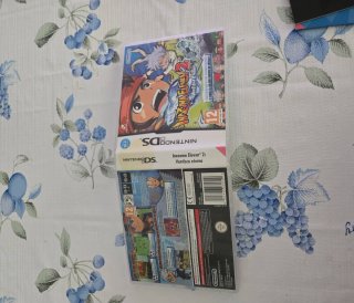 Inazuma Eleven 2: Ventisca Eterna Nintendo DS