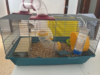 Jaula Hámster con Accesorios + 2 Hámster.
