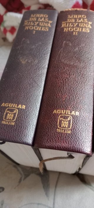 Libro Las Mil y Una Noches