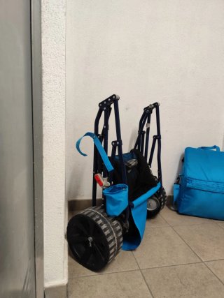 Carro Playa Costco Azul