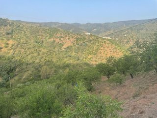 Terreno en los montes de malaga