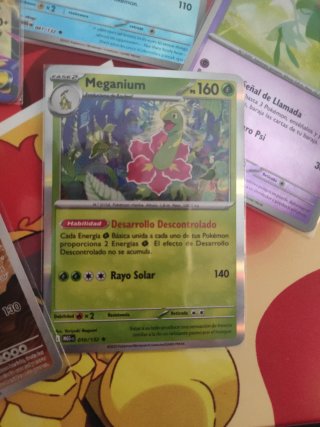 Lote Cartas Pokémon Mega Evolución