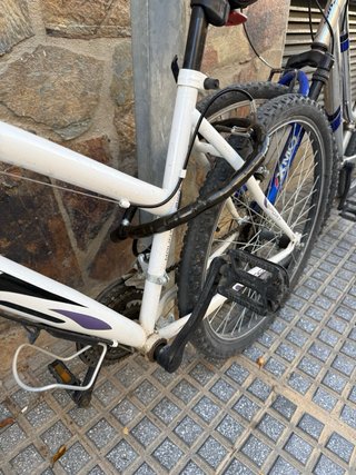 Bicicleta de Montaña (+ candado y bomba de aire)