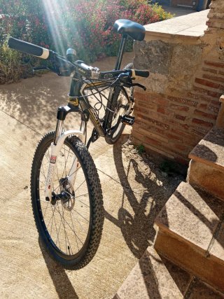 Bicicleta de montaña