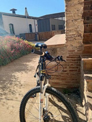 Bicicleta de montaña