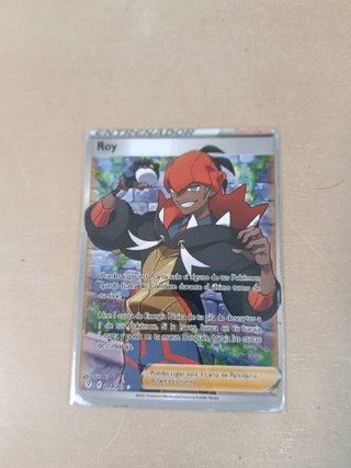 Cartas Pokémon VMAX y V