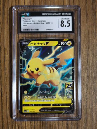 Lote 6 cartas Pikachu 25 aniversario japonés