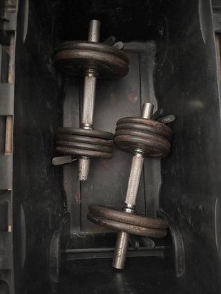 2 Mancuernas 20 kg