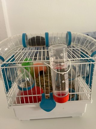Jaula hámster + accesorios + 1 hámster