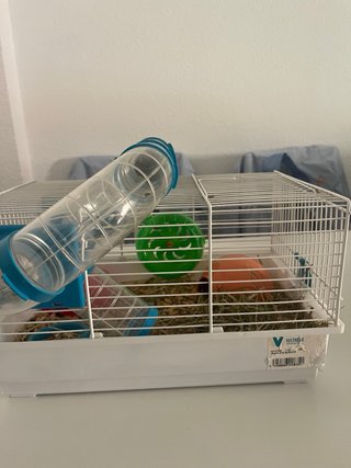Jaula hámster + accesorios + 1 hámster