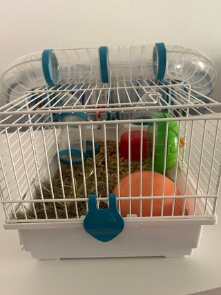 Jaula hámster + accesorios + 1 hámster