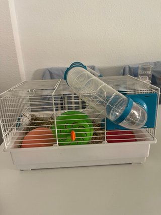 Jaula hámster + accesorios + 1 hámster
