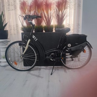 Bicicleta urbana negra con cesta muy cuidada